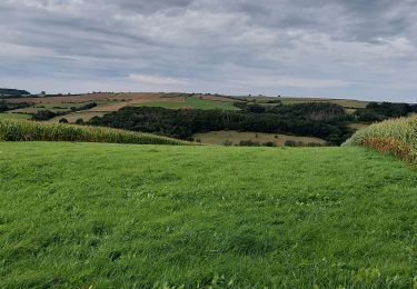 Trail Walking Beauraing - Voneche 011021 - Photo