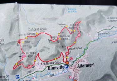 Randonnée Marche Allarmont - Balades féeriques des roches  - Photo