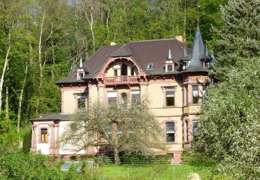 Randonnée A pied Bensheim - Rundwanderweg Bensheim Schönhof 3: Gronauer-Höhenweg - Photo