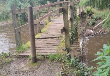 Tocht Stappen Saint-Philbert-sur-Orne - La roche d'oëtre - Le cul du Rouvre - Photo