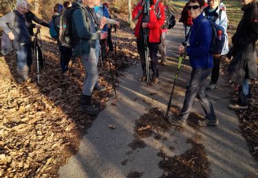 Trail Walking Ménoire - menoir 2 - Photo