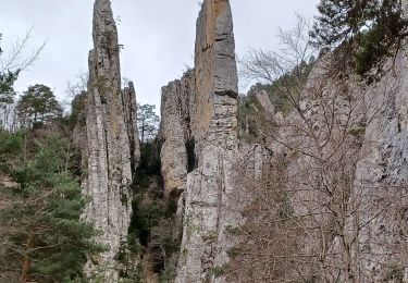 Trail Walking Glandage - Les Sucettes de Borne - Photo