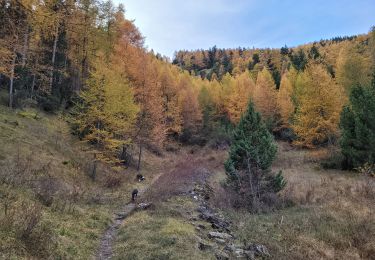 Tour Wandern Saint-Paul-sur-Ubaye - tournoux - Photo