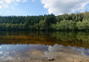 Tocht Te voet Saint-Victor-Montvianeix - Margault, la truite Fario - Photo