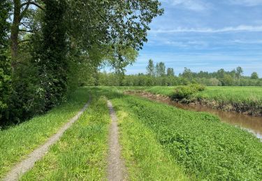 Tour Wandern Aarschot - Le long du Démer de Langdorp à Testelt - Photo