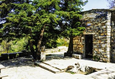 Trail On foot Municipal Unit of Acharnes - Τελεφερίκ - Λημικό - Αυλώνας - Photo