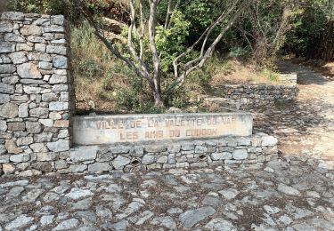 Trail Walking La Valette-du-Var - Conservatoire de l'olivier-07-10-22  - Photo