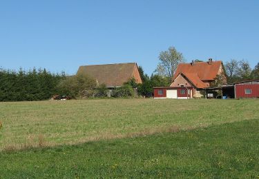 Tour Zu Fuß Pyrbaum - Pyrbaum Wanderweg No.3 - Photo