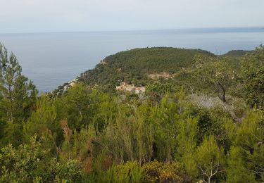 Tocht Stappen Le Pradet - La Colle Noire - Photo