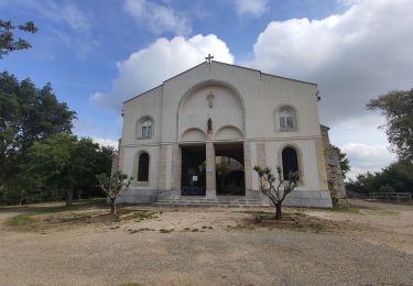 Trail Walking Pignans - Notre dame des anges - Pignans - Photo