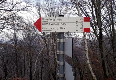 Tocht Te voet Mergozzo - A54 - Bracchio - Cappella di Erfo - Monte Faiè - Photo