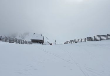Excursión Senderismo Boutx - Tuc de l'Etang depuis Le Mourtis - Photo