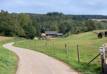 Trail Walking Préizerdaul - Bettborn  - Photo