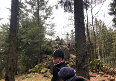 Tour Wandern Schönenberg - Serva tour cheval - Photo