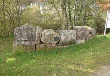 Randonnée A pied Jünkerath - Bisselbachtal - Photo