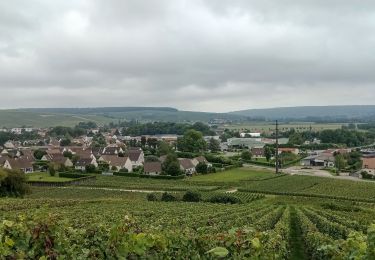 Trail Walking Crouttes-sur-Marne - Crouttes-sur-Marne du 26-09-2021 - Photo