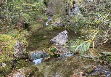 Tour Wandern Saint-Auban - Colette st auban  - Photo