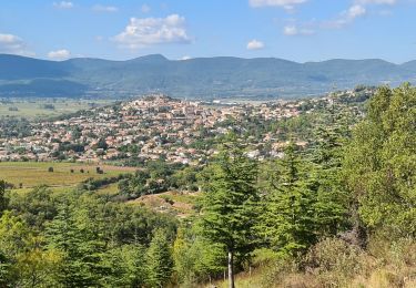 Percorso Marcia Pierrefeu-du-Var - Pierrefeu du var - les Baisses - Photo