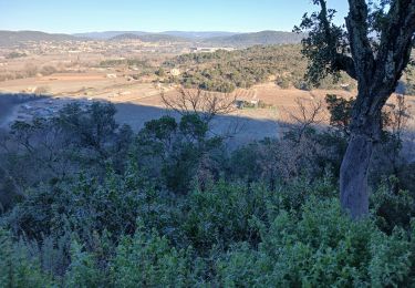 Trail Walking Les Arcs-sur-Argens - La colline de Cabredor les Arcs sur Argens, 17-01-2025 - Photo