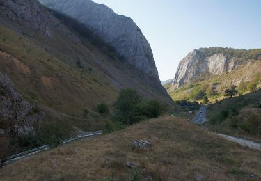 Trail On foot  - Sălciua de Jos - Platoul Bedeleu - Cheile Vălișoarei (Aiudului) - Photo