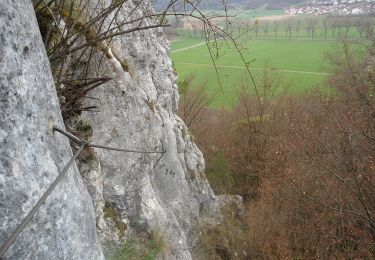 Randonnée A pied Wellheim - Rundwanderweg Wellheim 4 - Photo