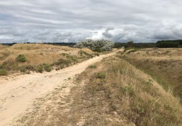 Percorso Marcia Barneville-Carteret - Barneville-Carteret - Bretteville-sur-Ay - Photo