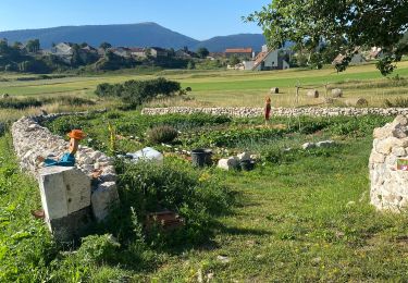 Trail Walking Vassieux-en-Vercors - Casier en vercor - Photo