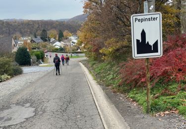 Randonnée Marche Pepinster - Pepinster 10 Km - Photo