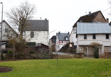 Randonnée A pied Brohl - Eifelhöhen und Brohlbachtal - Photo