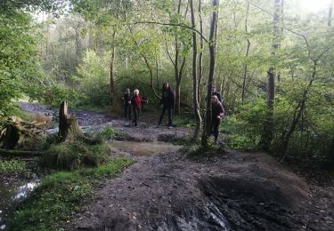Tocht Stappen Genepiën - bousval - Photo