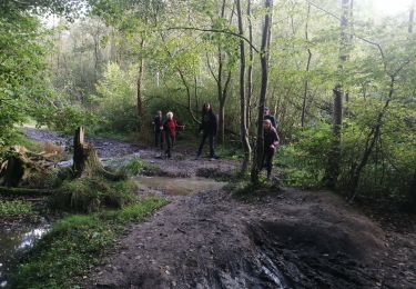 Tour Wandern Genappe - bousval - Photo