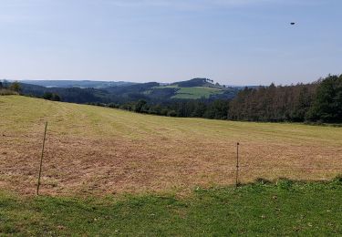 Trail Walking Nassogne - Nassogne 070921 - Photo