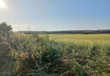 Randonnée Marche Saint-Pierre-lès-Elbeuf - st pierre les elbeuf et martot 2 - Photo