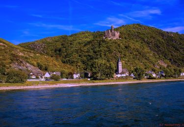 Randonnée A pied Sankt Goarshausen - Rheinsteig-Zuweg Nochem - Photo