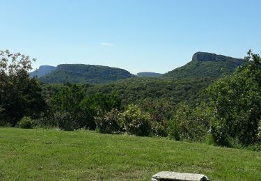 Trail Walking Navacelles - Château d'Allegre / Aiguières  - Photo