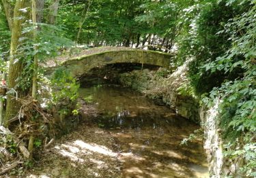 Tocht Stappen Waldbillig - Mullerthal randonnée magnifique - Photo