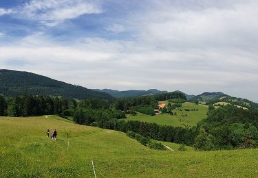 Trail On foot Oberbuchsiten - Tiefmatt - Roggenflue - Photo