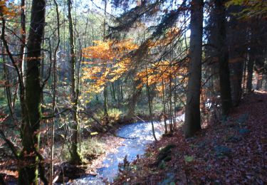 Tocht Stappen Manhay - RB-Lu-32_Malempré_Boucle-2 - Photo