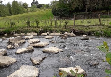 Trail Walking Sainte-Suzanne-et-Chammes - Sainte-Suzanne - Vers la table du Diable 18 km - Photo