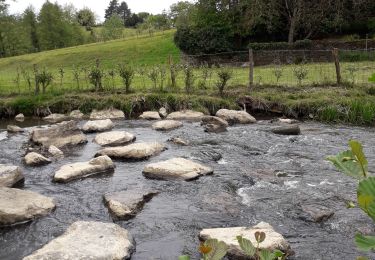 Tour Wandern Sainte-Suzanne-et-Chammes - Sainte-Suzanne - Vers la table du Diable 18 km - Photo