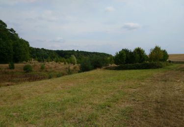 Tocht Stappen Bléré - Bléré - Fonds de Bout Ferré - 14.2km 145m 3h30 - 2022 08 15 - Photo