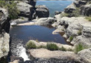 Trail Walking Riols - 04-JUIN-19 16:11:06 - Photo