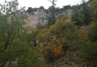 Randonnée Marche Monieux - le vallon du loup - Photo