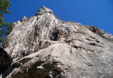 Excursión A pie Srbsko - naučná stezka Karlštejn - Photo