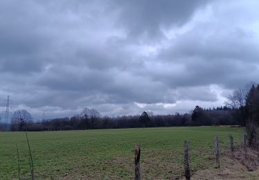 Tocht Stappen Ferrières - bosson . burnontige . lantroule . Le grand trixhe . bosson  - Photo