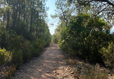 Trail Walking Roquebrune-sur-Argens - z la Guitranière-la Bouverie 15-09-20 - Photo