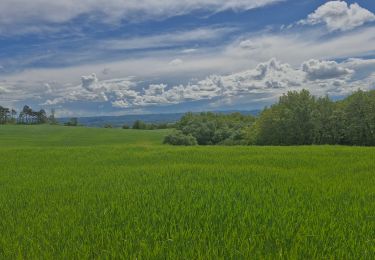 Tocht Stappen Puy-Saint-Martin - Puy-Saint-Martin Le Baron 10km. - Photo