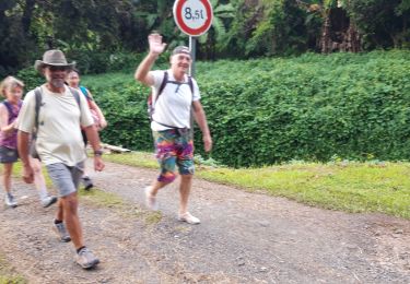 Trail Walking Uturoa - Mont Temehani 13 km 700 m deniv - Photo