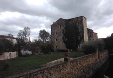 Randonnée Marche Entraigues-sur-la-Sorgue - entraigues valobre  trevouse  - Photo