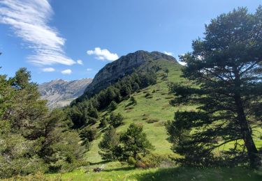 Randonnée Marche Tartonne - Tartonne clue de la peine pre de l'évêque 19kms 1075m  - Photo